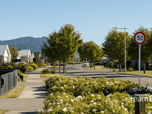 114 Oakley Avenue, Springlands