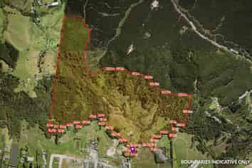 MASSIVE 83.86 HECTARES OF LAND IN KUMEU/HUAPAI
