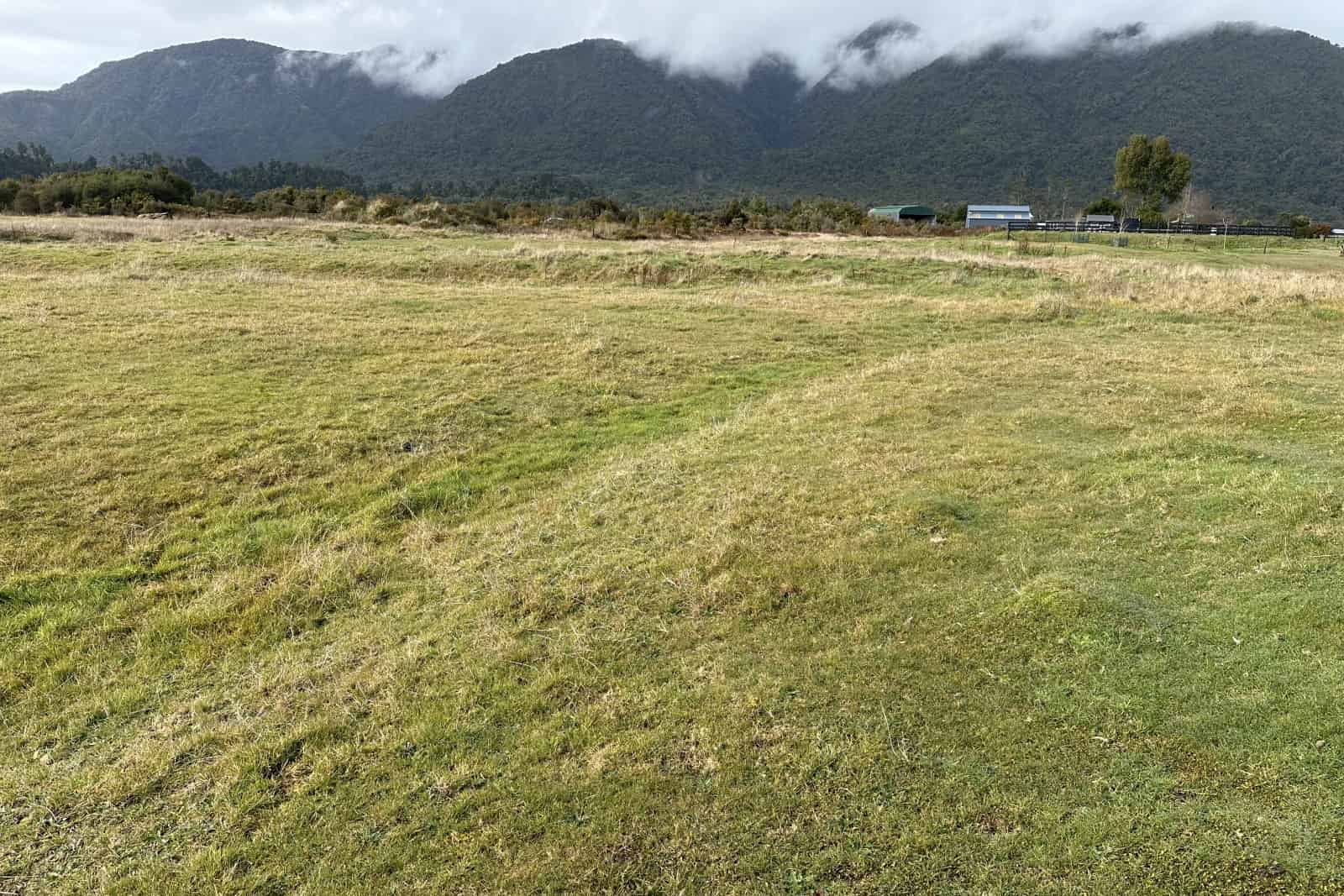 Franz Josef Glacier Homes and Real Estate for Sale realestate.co.nz