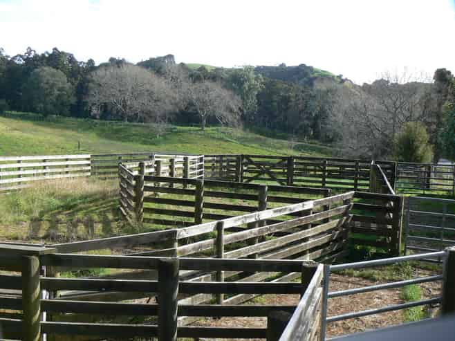 45 Te Akau Coast Road, Te Akau