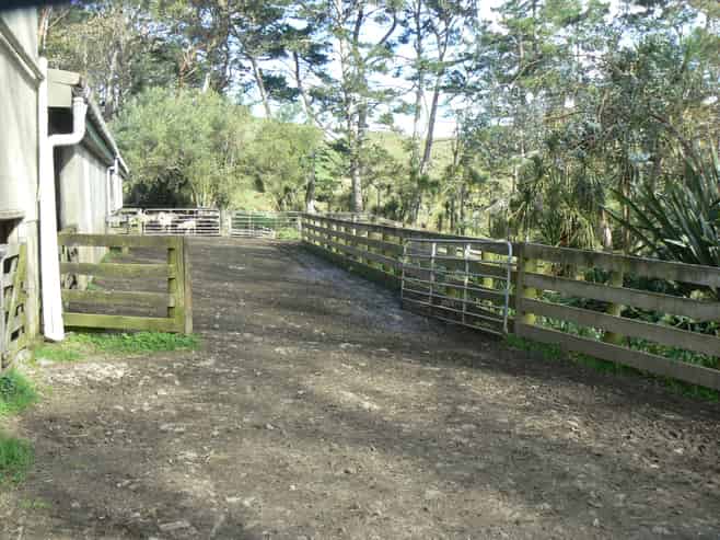 45 Te Akau Coast Road, Te Akau