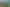 21 Dawn Avenue, Hahei