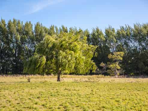 Lot 3 215 Wood Street, Greytown