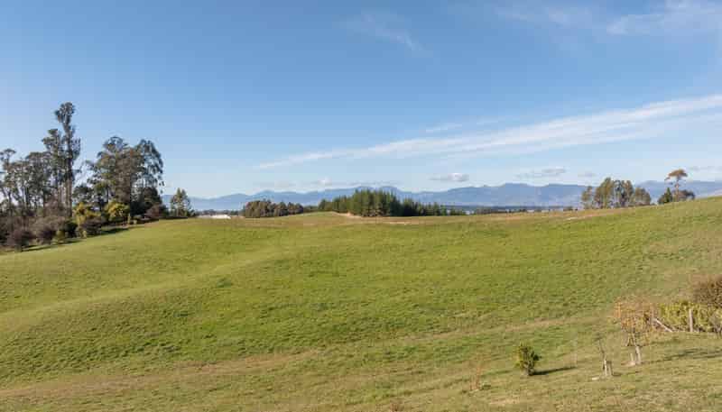 167 Dominion Road, Mahana