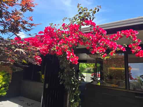 1 Manu Grove, Waikanae