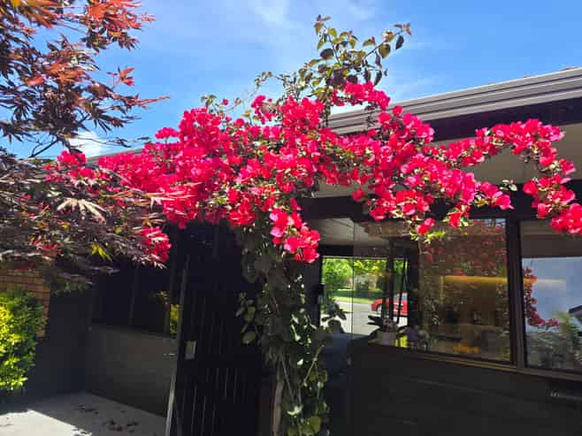 1 Manu Grove, Waikanae