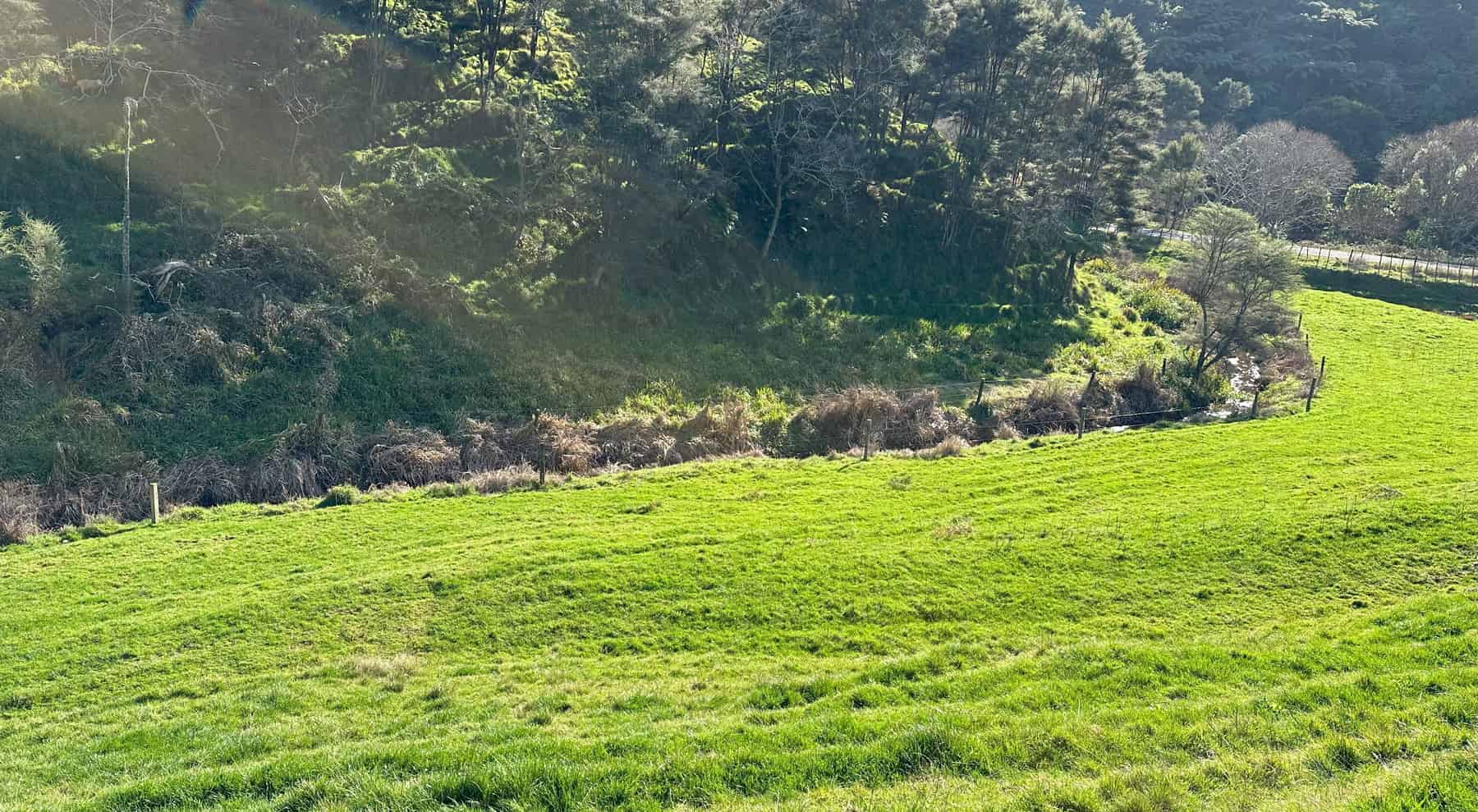 305 Waingaro Road, Ngaruawahia, Waikato For Sale realestate.co.nz