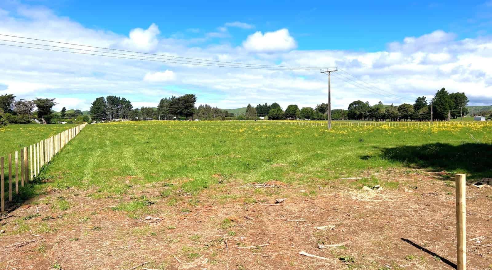 45 Marchant Street, Eketahuna, Tararua For Sale realestate.co.nz