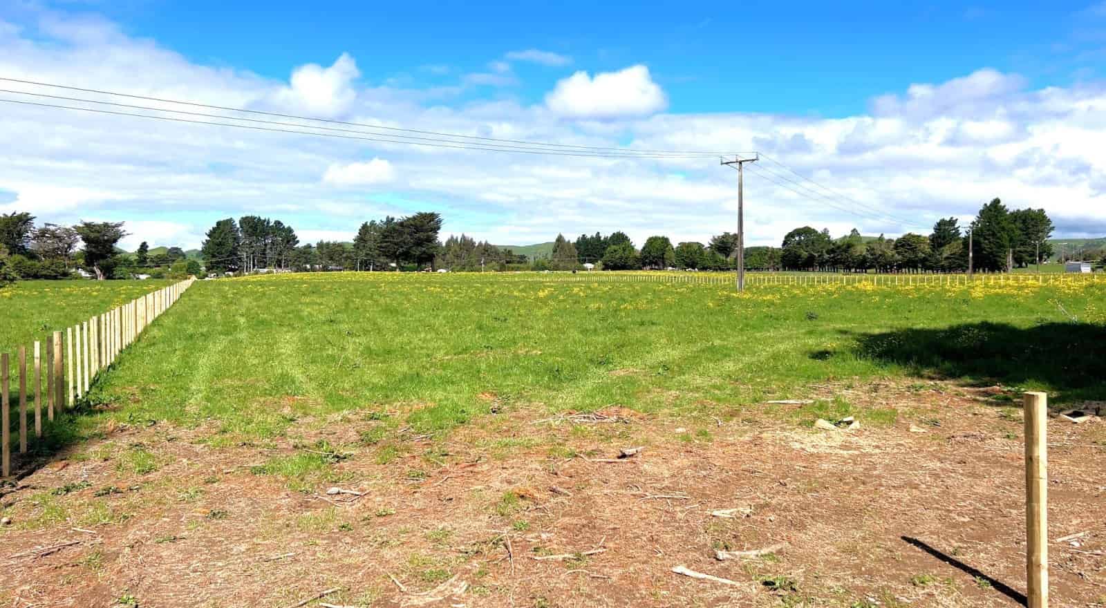 45 Marchant Street, Eketahuna, Tararua For Sale realestate.co.nz