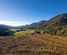 1135 Matakitaki Road, Murchison, Tasman, Nelson & Bays
