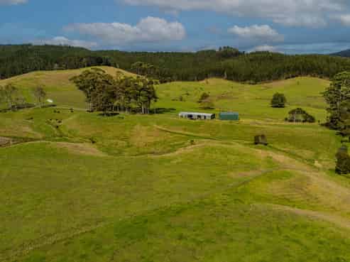 650 Sh25 Te Rerenga-Kuaotunu Road, Te Rerenga