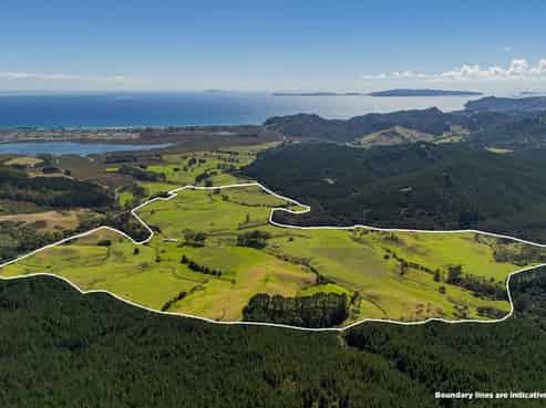 650 Sh25 Te Rerenga-Kuaotunu Road, Te Rerenga