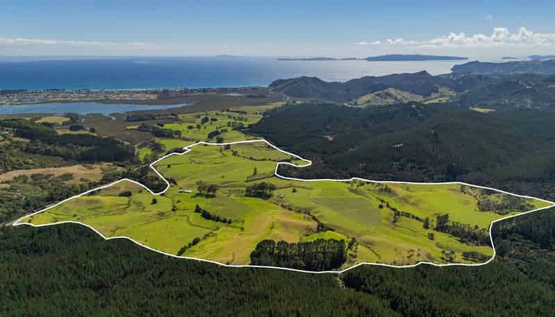 650 Sh25 Te Rerenga-Kuaotunu Road, Te Rerenga