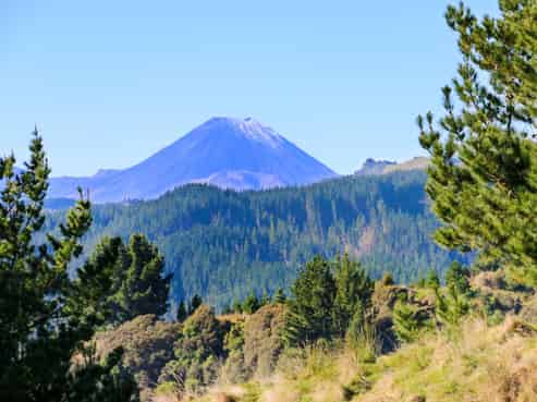  Mangahoe Road, Kaitieke
