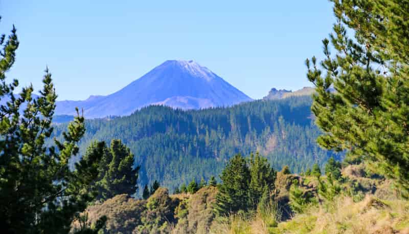  Mangahoe Road, Kaitieke