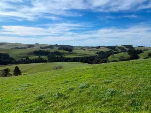 227 Tapu Bush Road, Whangaripo