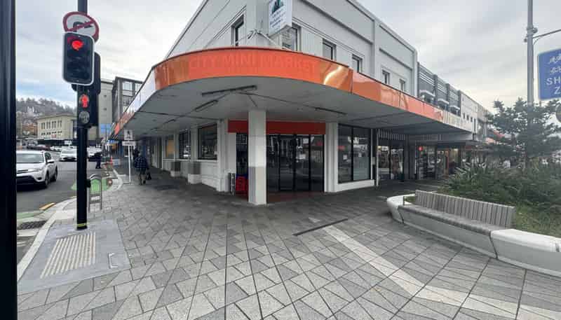 101 George Street, Dunedin Central