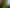 Bay of Plenty - Address withheld