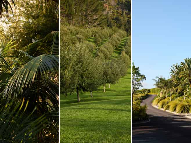 Bay of Plenty - Address withheld