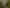 Bay of Plenty - Address withheld