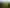 Bay of Plenty - Address withheld