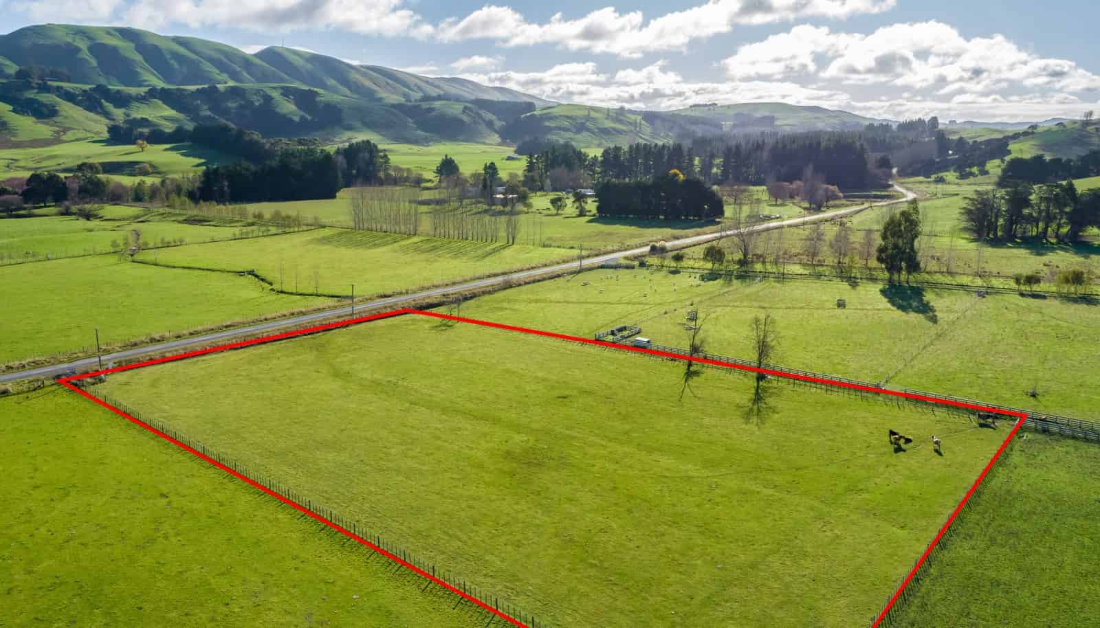 822a Longbush Road, Carterton, Carterton For Sale realestate.co.nz