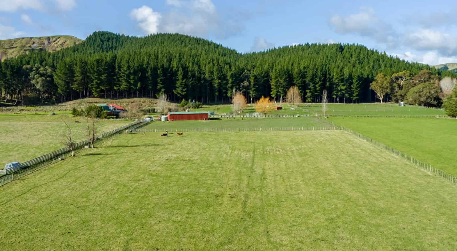 822a Longbush Road, Carterton, Carterton For Sale realestate.co.nz