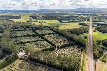 Lot 2 485 Mangakahia Road, Maungatapere