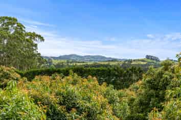 Lot 2 485 Mangakahia Road, Maungatapere