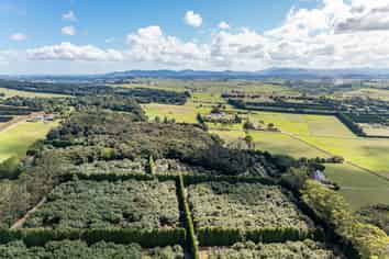 Lot 2 485 Mangakahia Road, Maungatapere