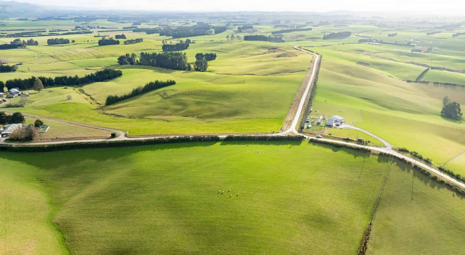 Pinnacle Road, Willowbank, Gore For Sale realestate.co.nz