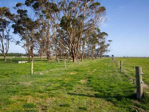 327 Paranui Road, Foxton