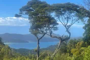 240 Schooner Bay Road, Great Barrier Island