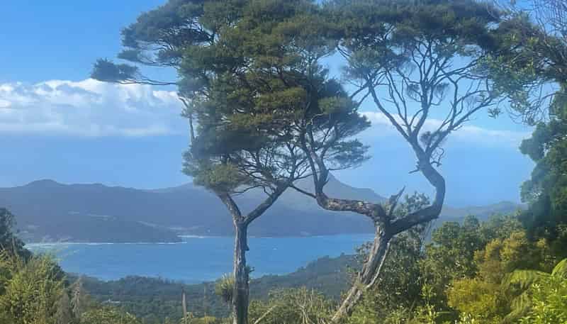 240 Schooner Bay Road, Great Barrier Island