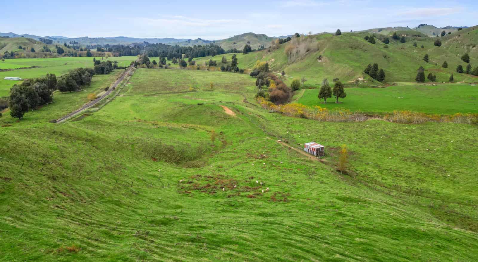 158 Ohura North Road, Ohura, Ruapehu For Sale realestate.co.nz