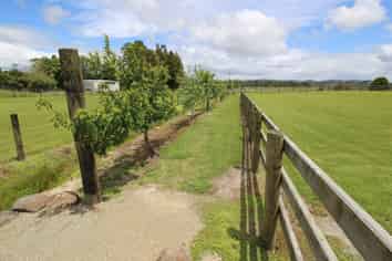 173 Sandys Road, Waipapa