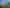 19 Opukeko Rd, Paeroa