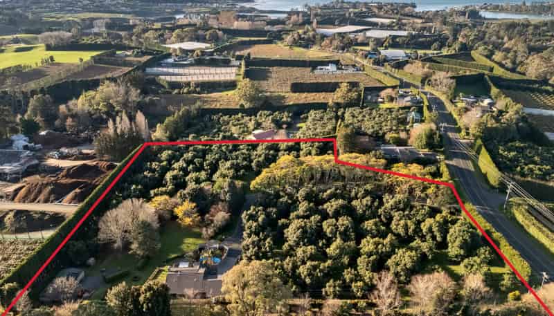 55 Plummers Point Road, Whakamarama