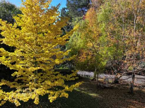 1305 Opaki Kaiparoro Road, Masterton