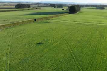  Paddon Road, Branxholme