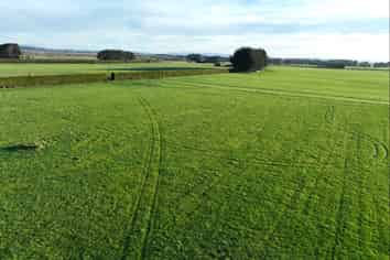  Paddon Road, Branxholme