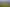 Compact Land, Big Potential