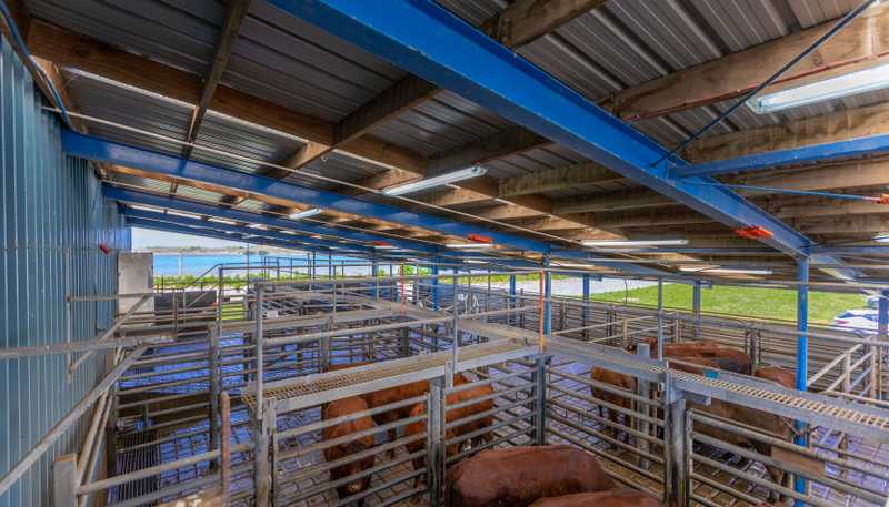 2 Gilberd Street, Castlecliff