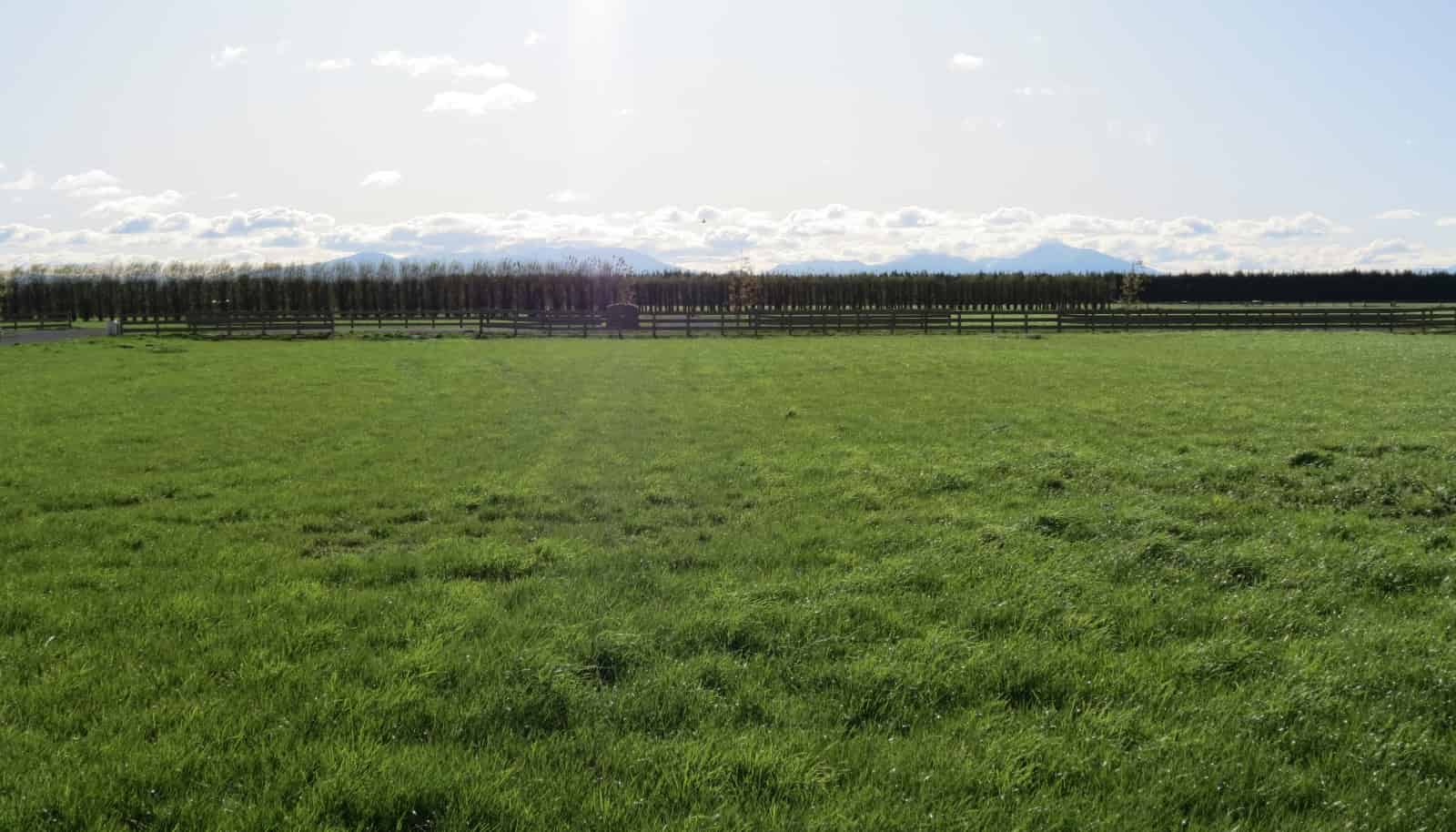 Sold 18 Westview Drive, Tinwald realestate.co.nz