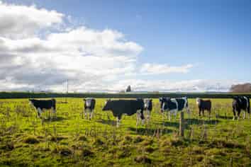 253 Tawhiti Road, Hawera
