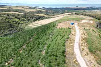 528 Taieri Beach Road, Taieri Beach