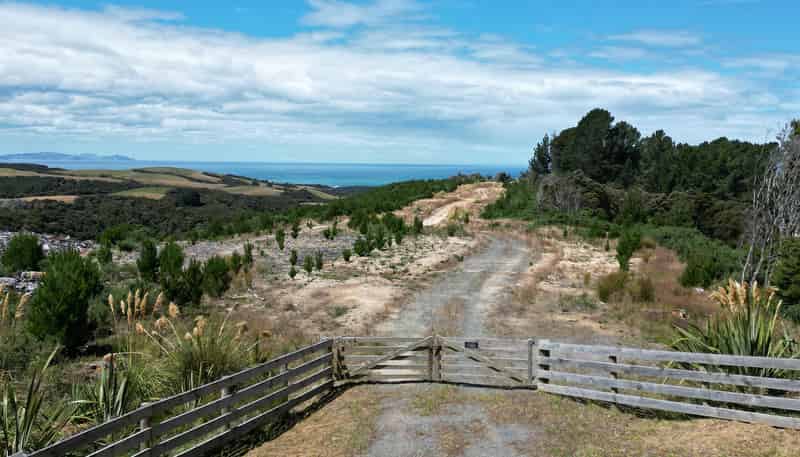 528 Taieri Beach Road, Taieri Beach