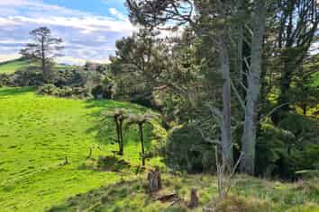 Part 229 Hurford Road, Omata
