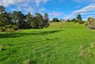 229 Hurford Road, Hurworth, New Plymouth, Taranaki