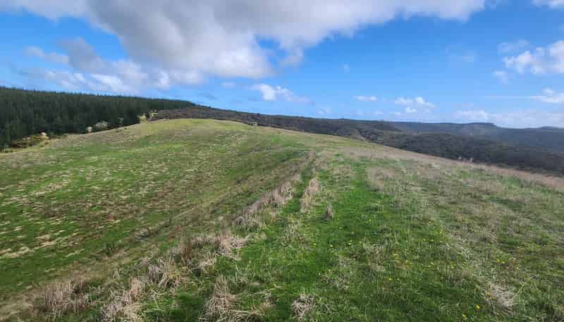 Lot 2 State Highway 12, Dargaville